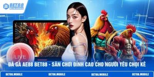 Đá Gà Ae888 BET88 - Sân Chơi Đỉnh Cao Cho Người Yêu Chọi Kê