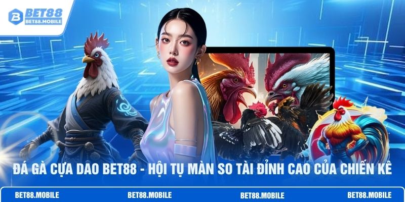 Đá Gà Cựa Dao BET88 - Hội Tụ Màn So Tài Đỉnh Cao Của Chiến Kê