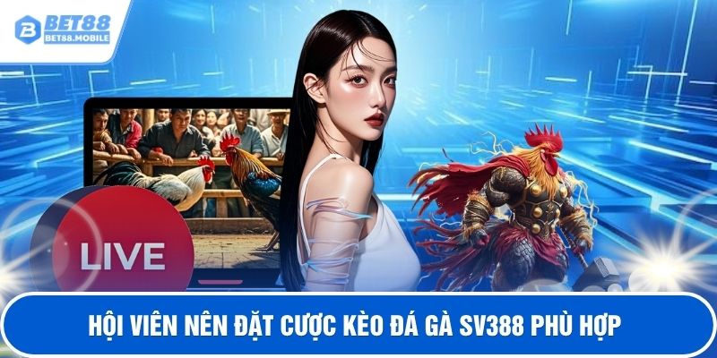 Hội viên nên đặt cược kèo đá gà SV388 phù hợp