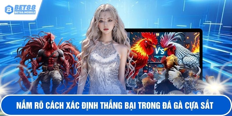 Nắm rõ cách xác định thắng bại trong đá gà cựa sắt