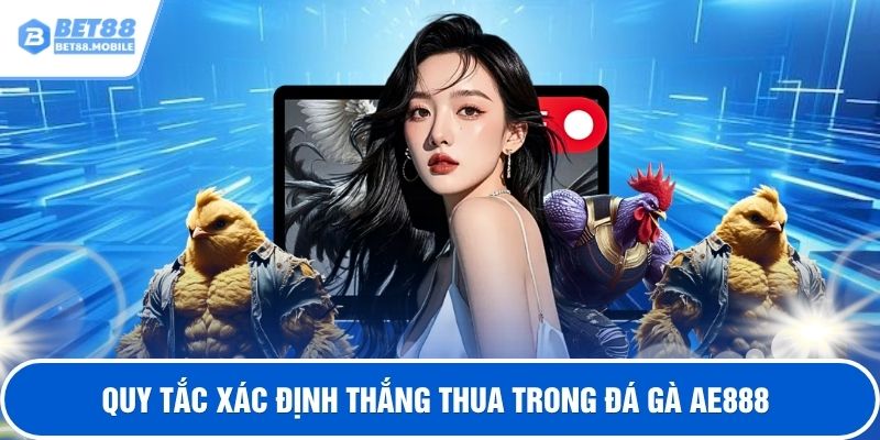 Quy tắc xác định thắng thua trong đá gà ae888