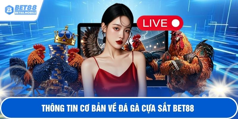 Thông tin cơ bản về đá gà cựa sắt BET88